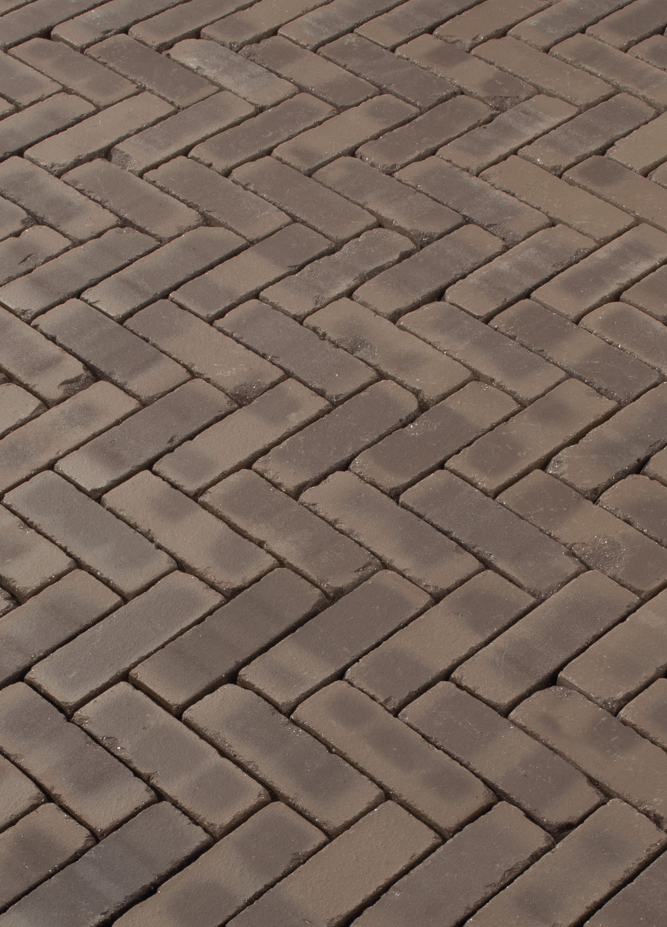 Terra Verona antica