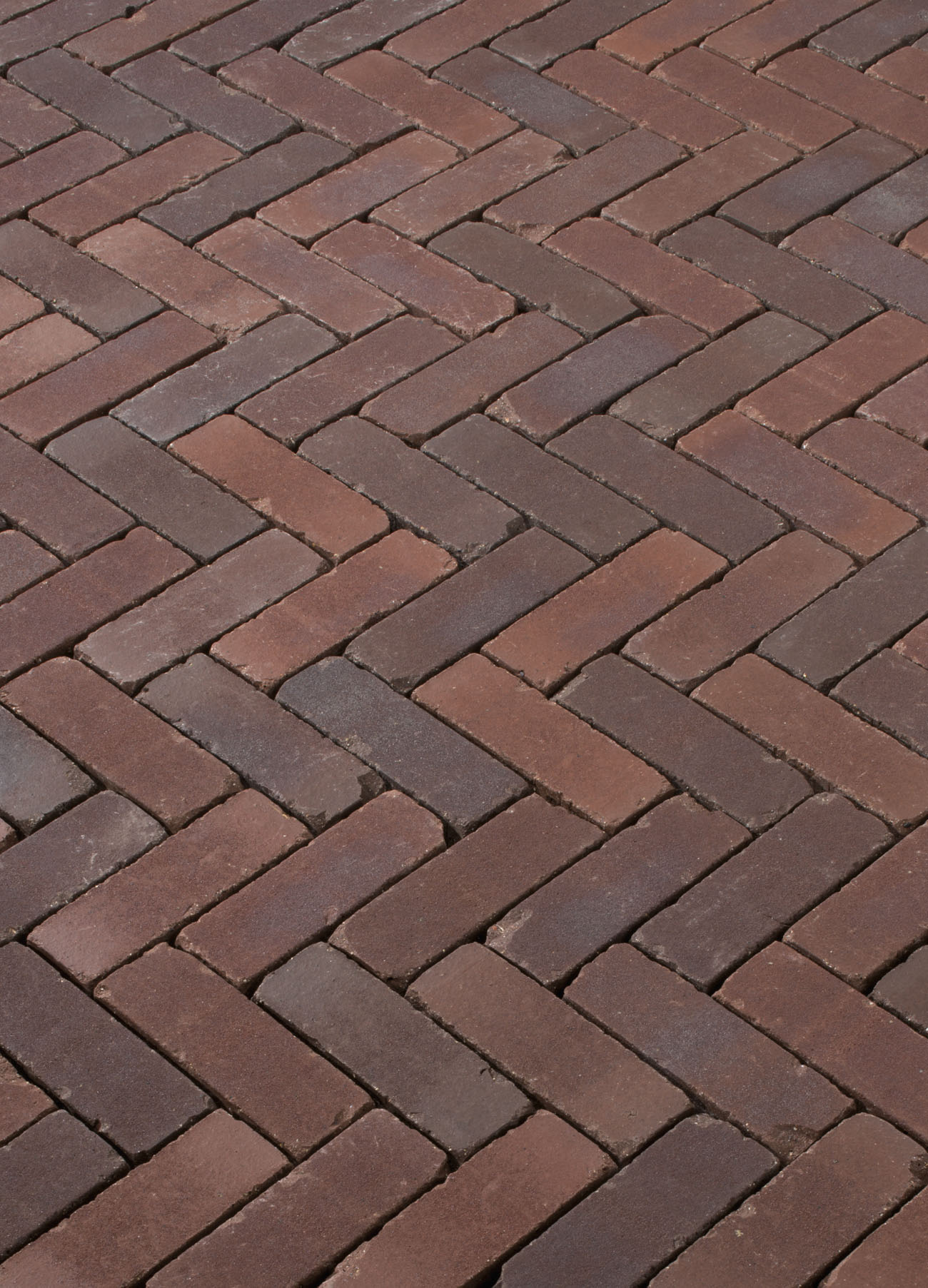 Terra Novara antica