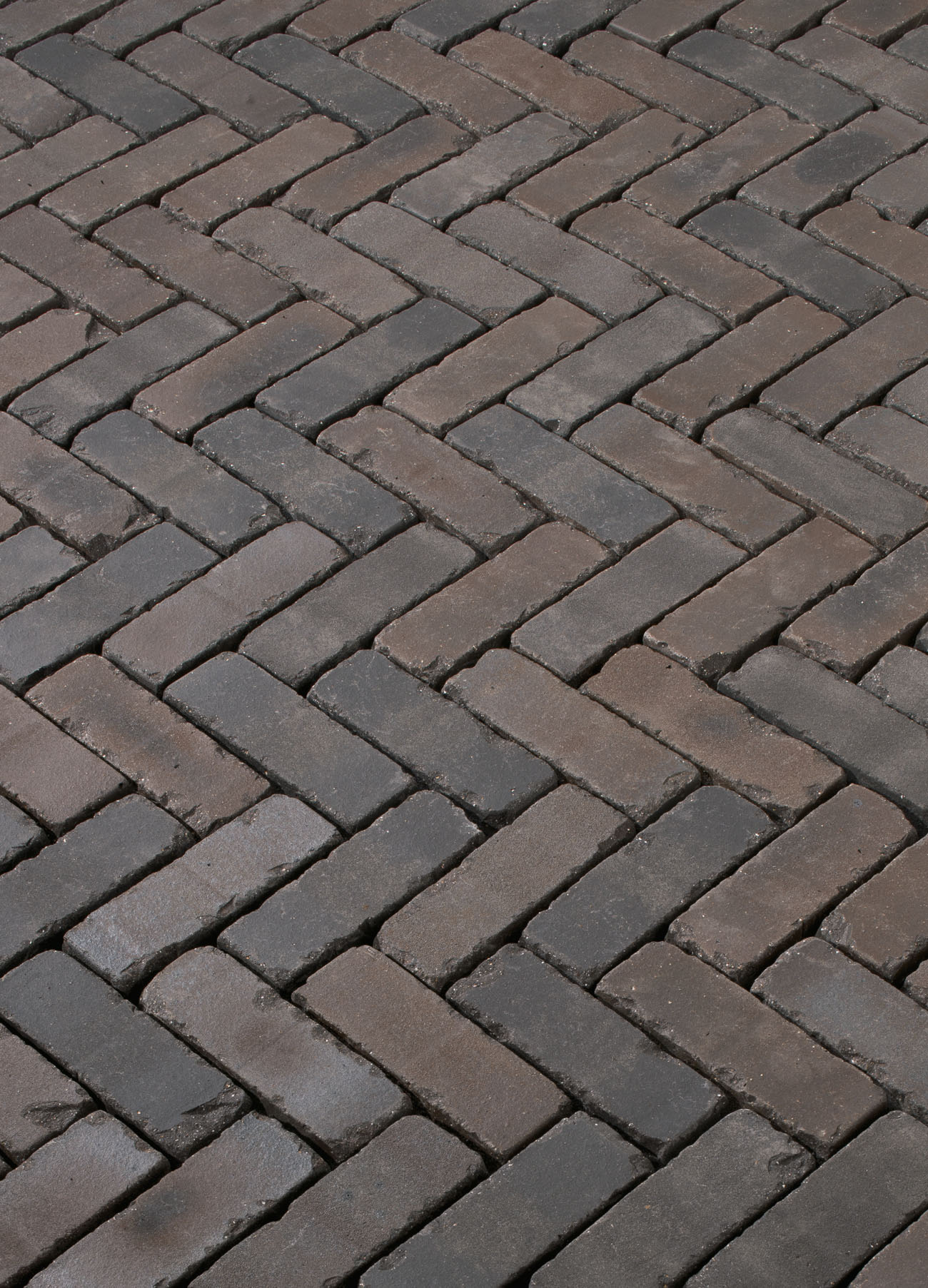 Terra Ancona antica