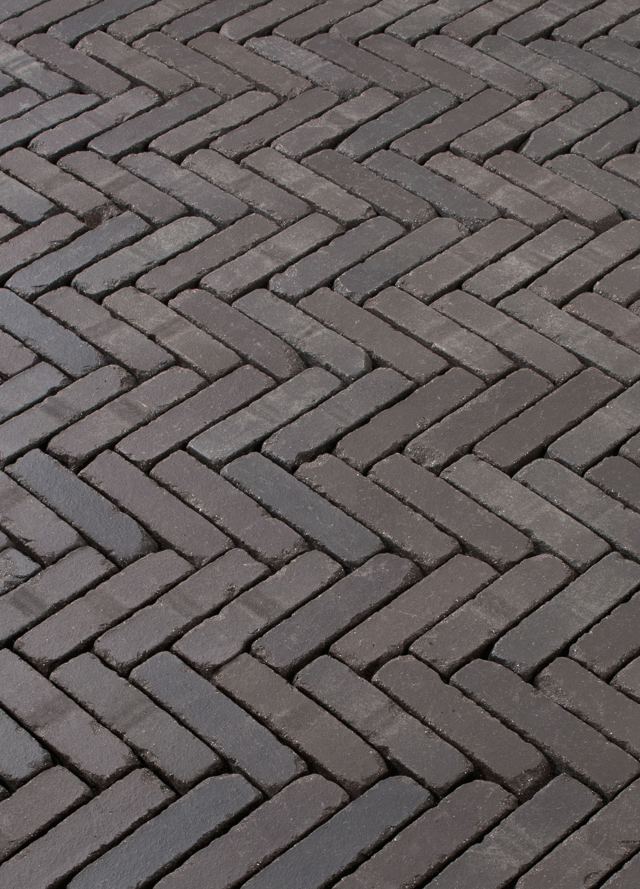 Terra Modena antica
