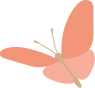 orange butterfly