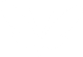 light white butterfly.png