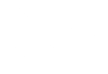 light white butterfly.png