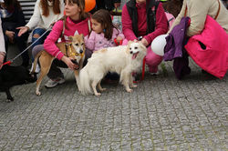 12799146_539837749531099_4135438673262166734_n