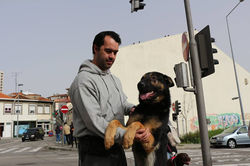 12805698_539837322864475_7295081563336645228_n