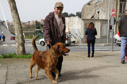 12805909_539838309531043_5459629500901539733_n