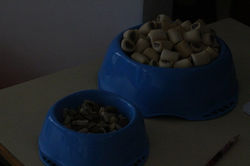 12809520_539836192864588_7494050965919927568_n