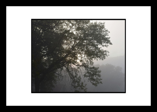 Foggy Morning | riverbendgalleries
