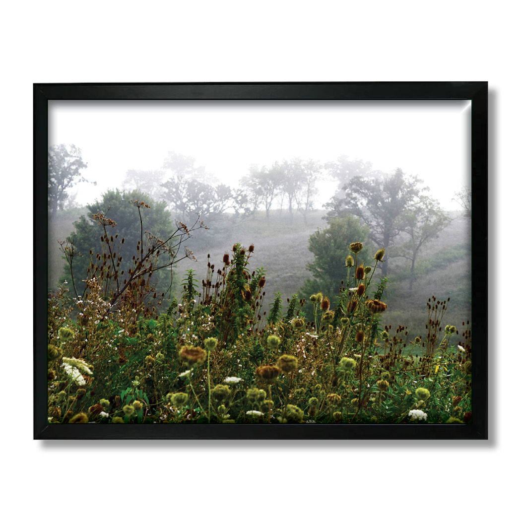 Framed Metal - Misty Morning Meadow
