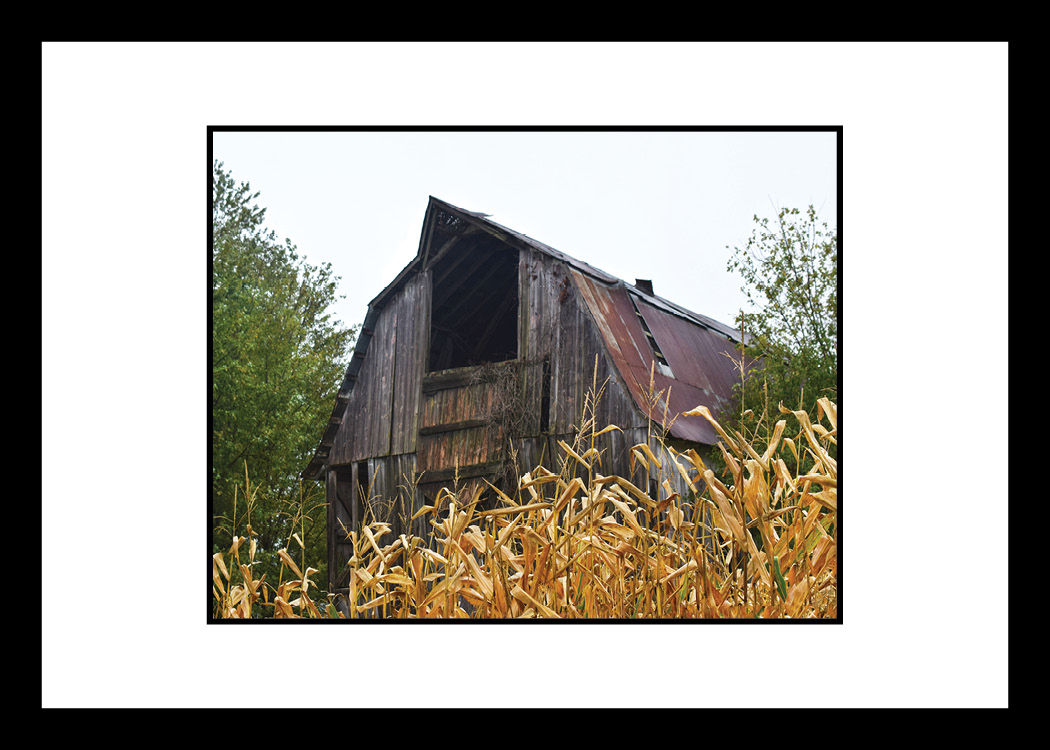 Rising from the Corn