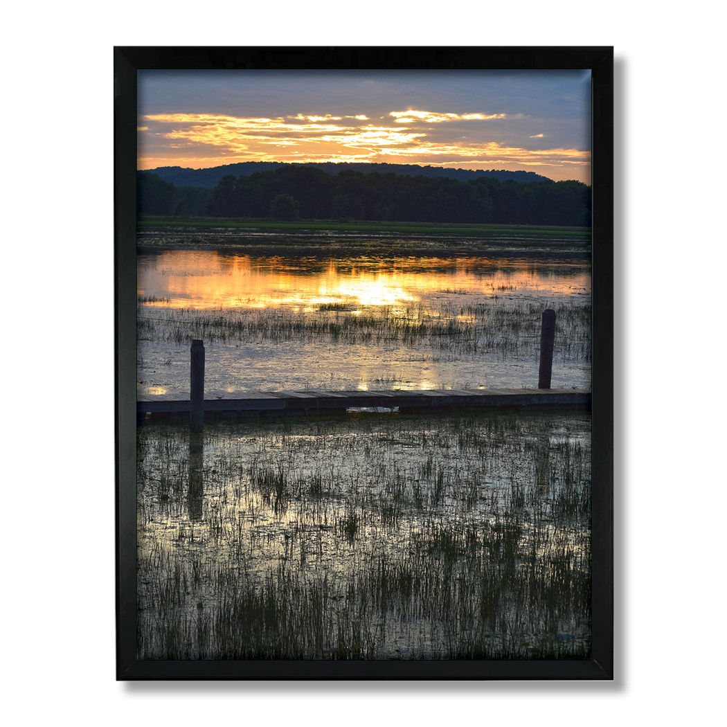 Framed Metal - Silent Marsh