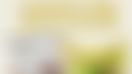 TOP WAYS TO BOOST YOUR RENTAL INCOME