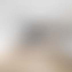 [LEASED! - $1100 per week] 15 Bernard Street, Lidcombe NSW 2141