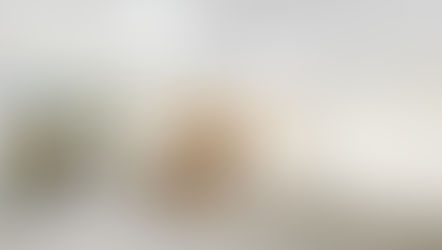 [LEASED! - $950 per week] 11/367 Marrickville Road, Marrickville NSW 2204