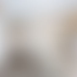 [Deposit Taken! - $620 per week] - 824/2E Charles St Canterbury, NSW 2193