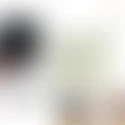 BOUNDARIES WITHIN A TENANCY AGREEMENT