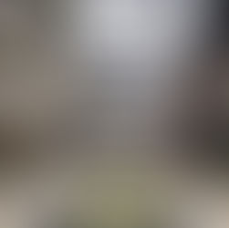 [FOR RENT - $780 per week] - 217/1A Remly Street, Roselands NSW 2196