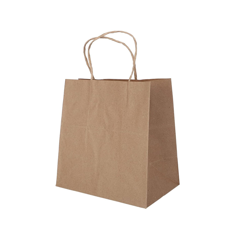 copy of Paper Bags with Handle W12XH12XB5 INCH 95 gsm (100pcs)