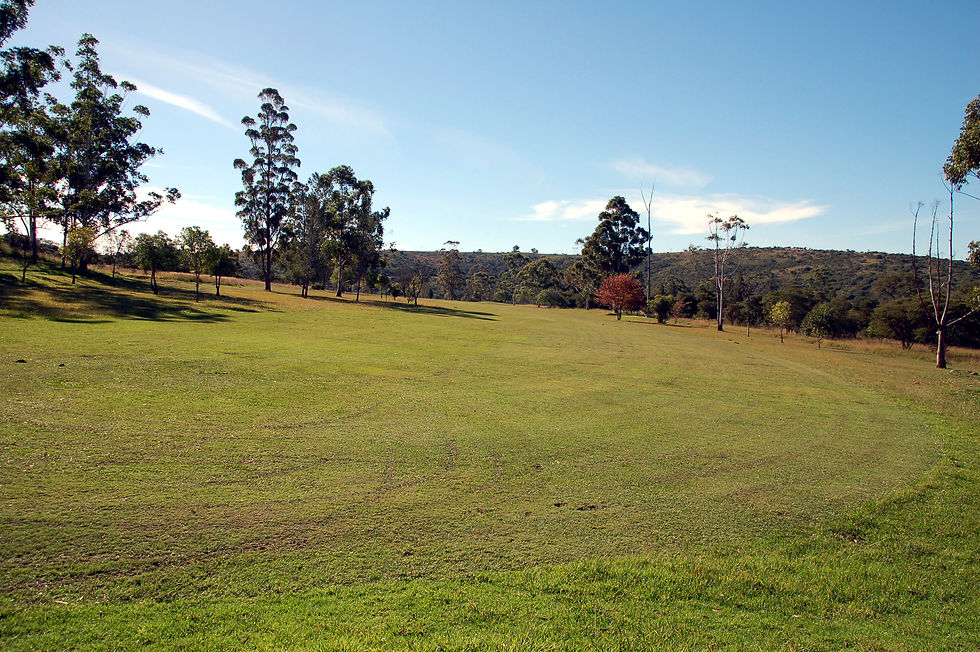 DSC_0199.JPG