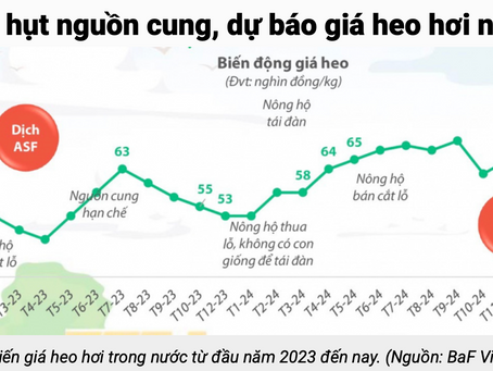 Cổ phiếu đầu cơ 17/2/2025
