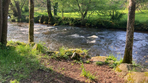 Rivière Le Chalaux