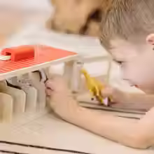 תמונה ממוזערת: תצוגת סוסים מעץ מבית מליסה ודאג MELISSA AND DOUG