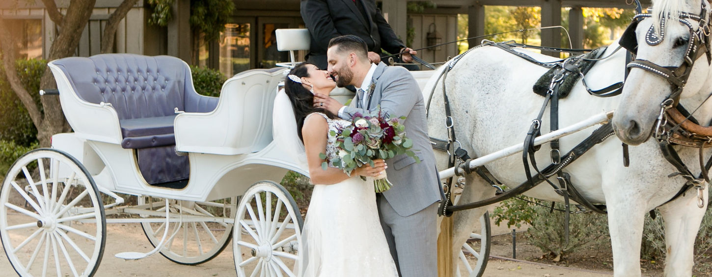 carriage and couple (2020_08_05 23_03_52 UTC).jpg