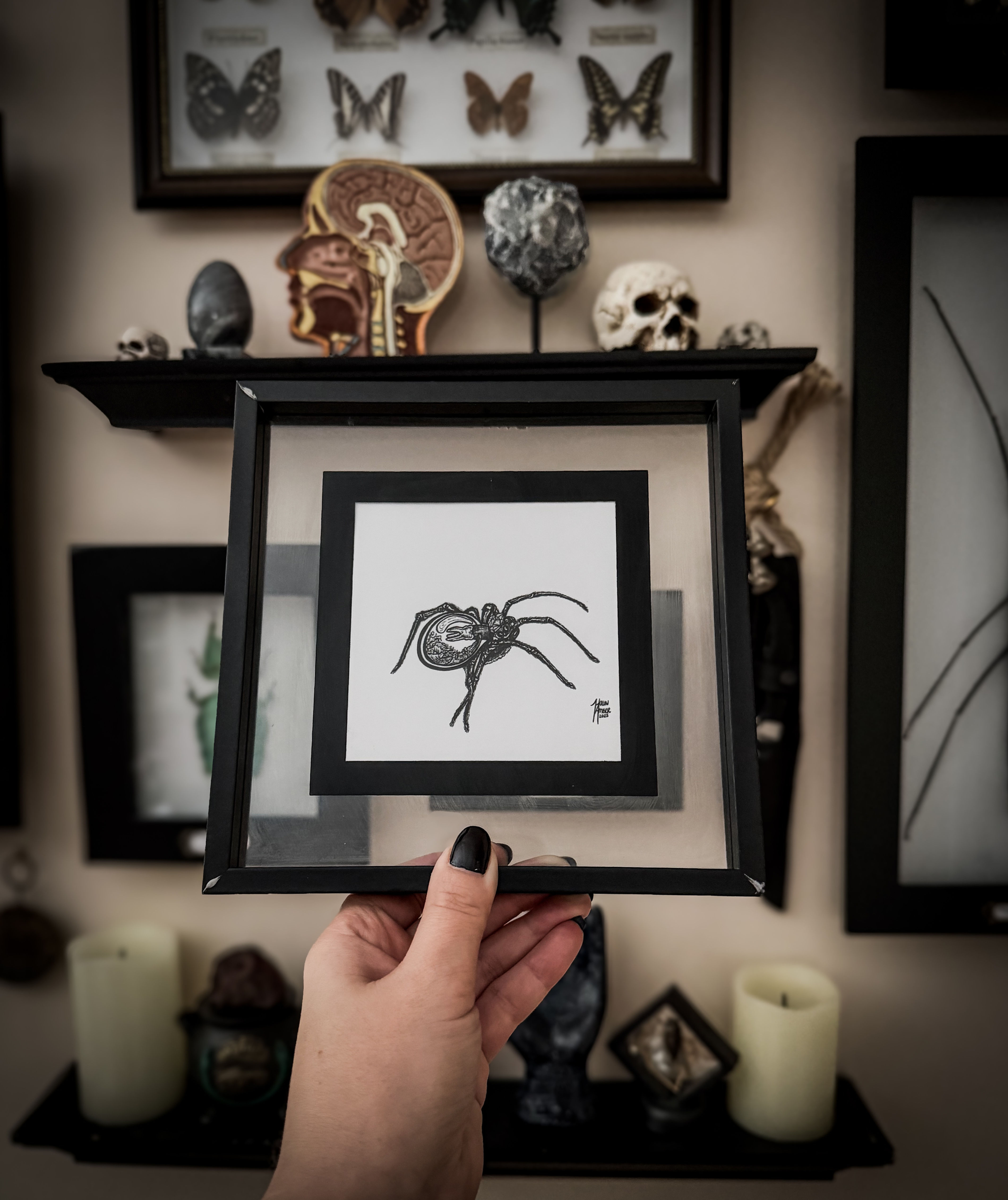 "𝕮𝖆𝖕𝖘𝖎𝖟𝖊𝖉" Framed Print