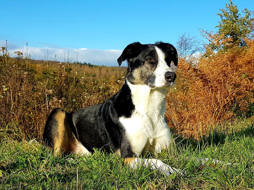 20201104_200748.jpg