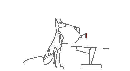 anim-étude2.gif