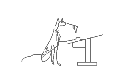anim-étude1.gif