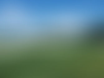 INHALTSVERZEICHNIS UNGARISCHE Golfplätze