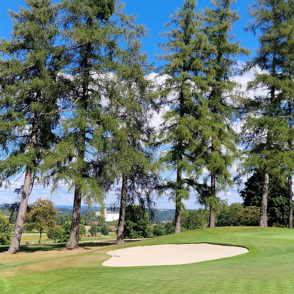 GC Weitra–Niederösterreich/Golf Österreich-Golfurlaub-18Flags.at