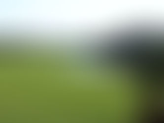 Mission Hills Phuket Golf Resort (THAI) Golfplätze Thailand-Phuket-Golfurlaub-Golf-18Flags.at