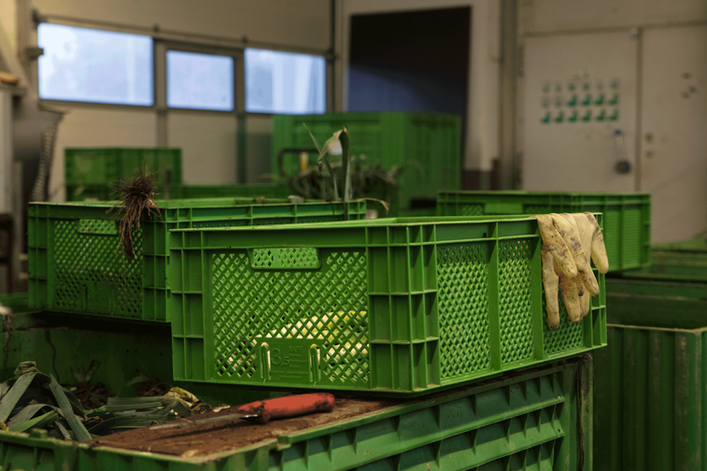 grüne Mehrwegkisten in einem Arbeitsraum, drum herum Arbeitsmittel wir Handschuhe und Messer, einige Stangen Lauch