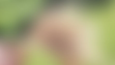 Eine Hand hält Gerste in die Kamera, im Hintergrund ist eine Wiese.