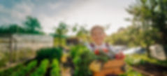 young-farmer-girl-holding-freshly-harvested-vegeta-2026-01-09-12-00-20-utc 1.jpg