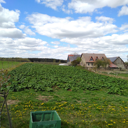 Blick über eine Wiese und einen Gemüseacker auf ein Haus mit Stall und Hühnerstall