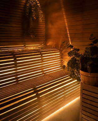 sauna-eucalyptus-v3.png