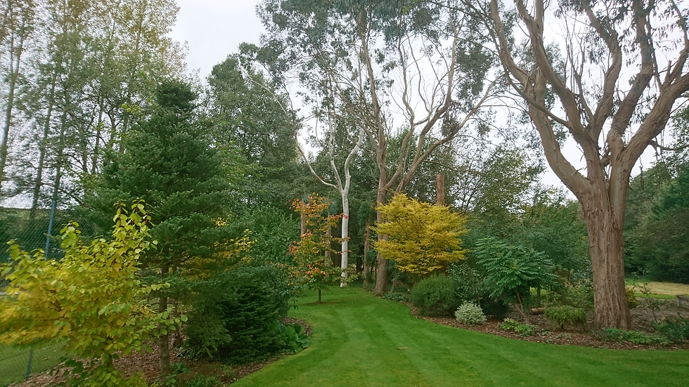 north devon garden design