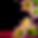 parsifal blank.png