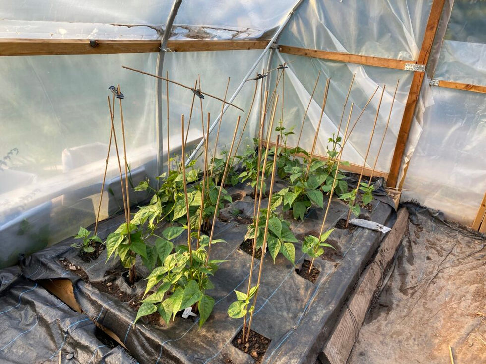 grow2