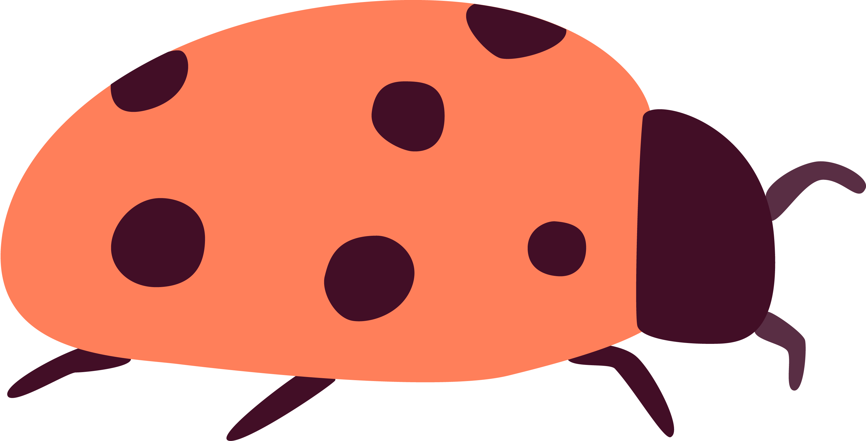 ESPP-Illustration-RGB-Ladybird.png