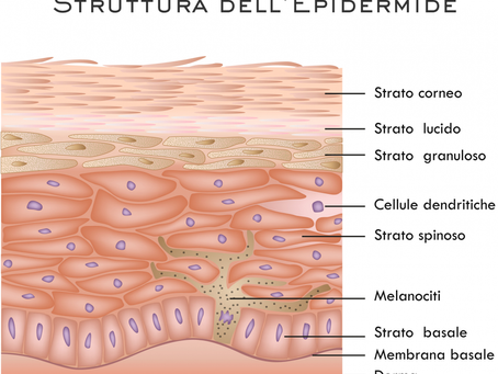 Mesotransdermal un alleato per viso