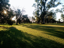 Parque