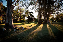 Parque