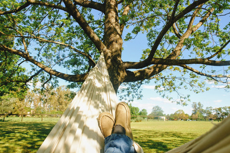 Descanso