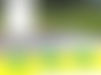2019年6月12日(水)|かみこあにプロジェクト2019 Pre-Exhibition開催(6/25まで)