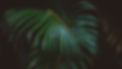 green-aesthetic-wallpaper-1920x1080-9.jpg