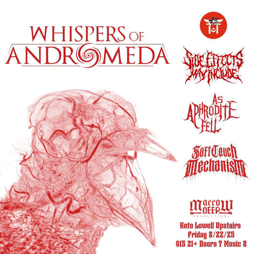 Koto Upstairs: "Echoes from the Void"